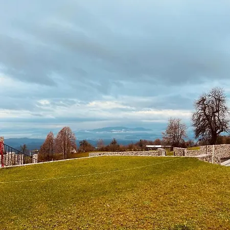 Pjagodic Villa Cerklje na Gorenjskem
